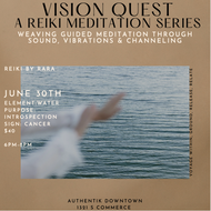 Vision Quest - Reiki Meditation